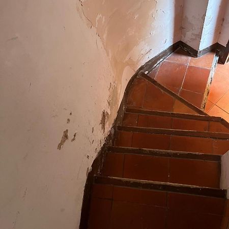 Florit Flats - The Mercado Central Apartment 瓦伦西亚 外观 照片